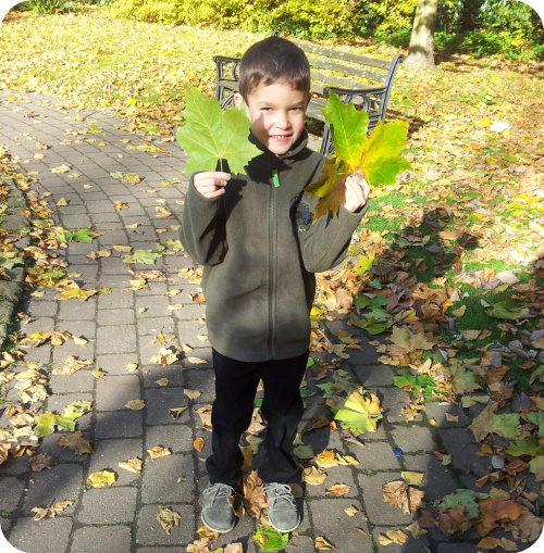 Getting children to understand the importance of trees