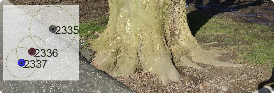 Arboriculture