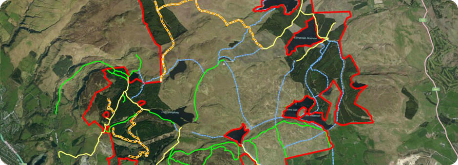 GIS Mapping & Analysis