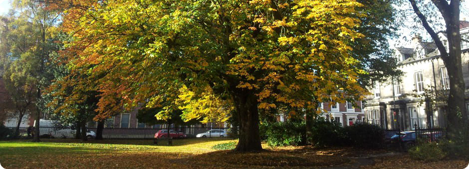 Arboriculture